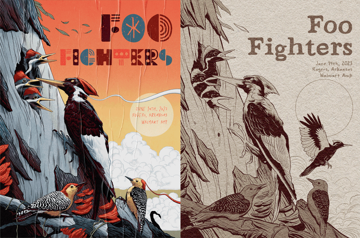 gig poster Show poster music foo fighters rock birds Nature billy strings