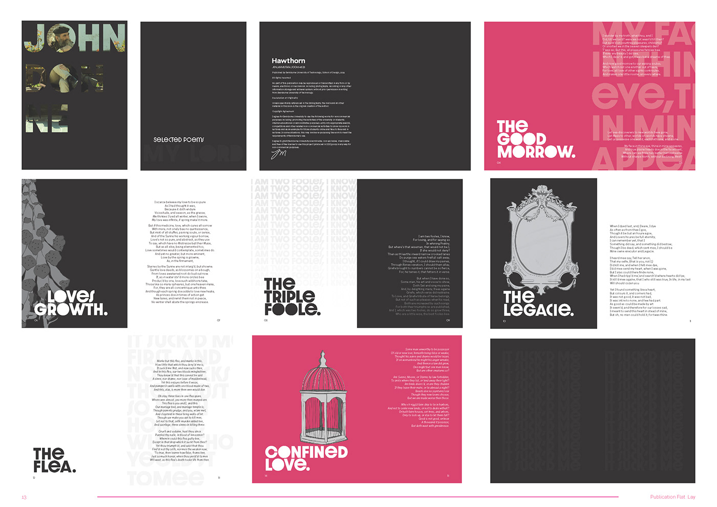 Digital Art  Drawing  ILLUSTRATION  Layout magazine Production production design publication publication design typography  