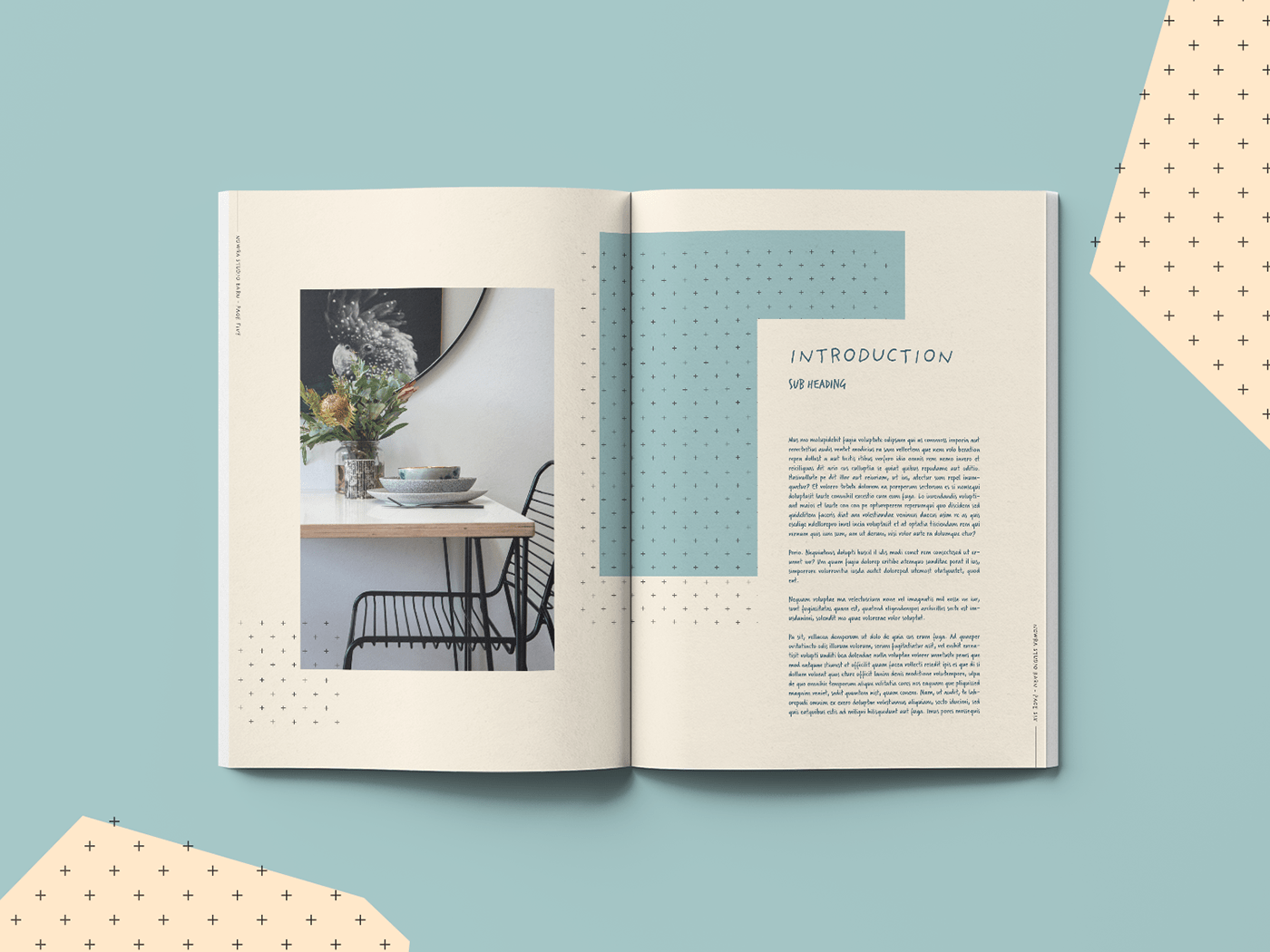 airbnb book Colourful  creative design editorial guestbook InDesign Layout