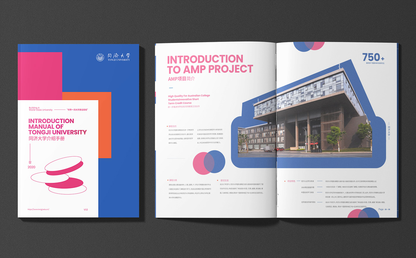 brochure design design