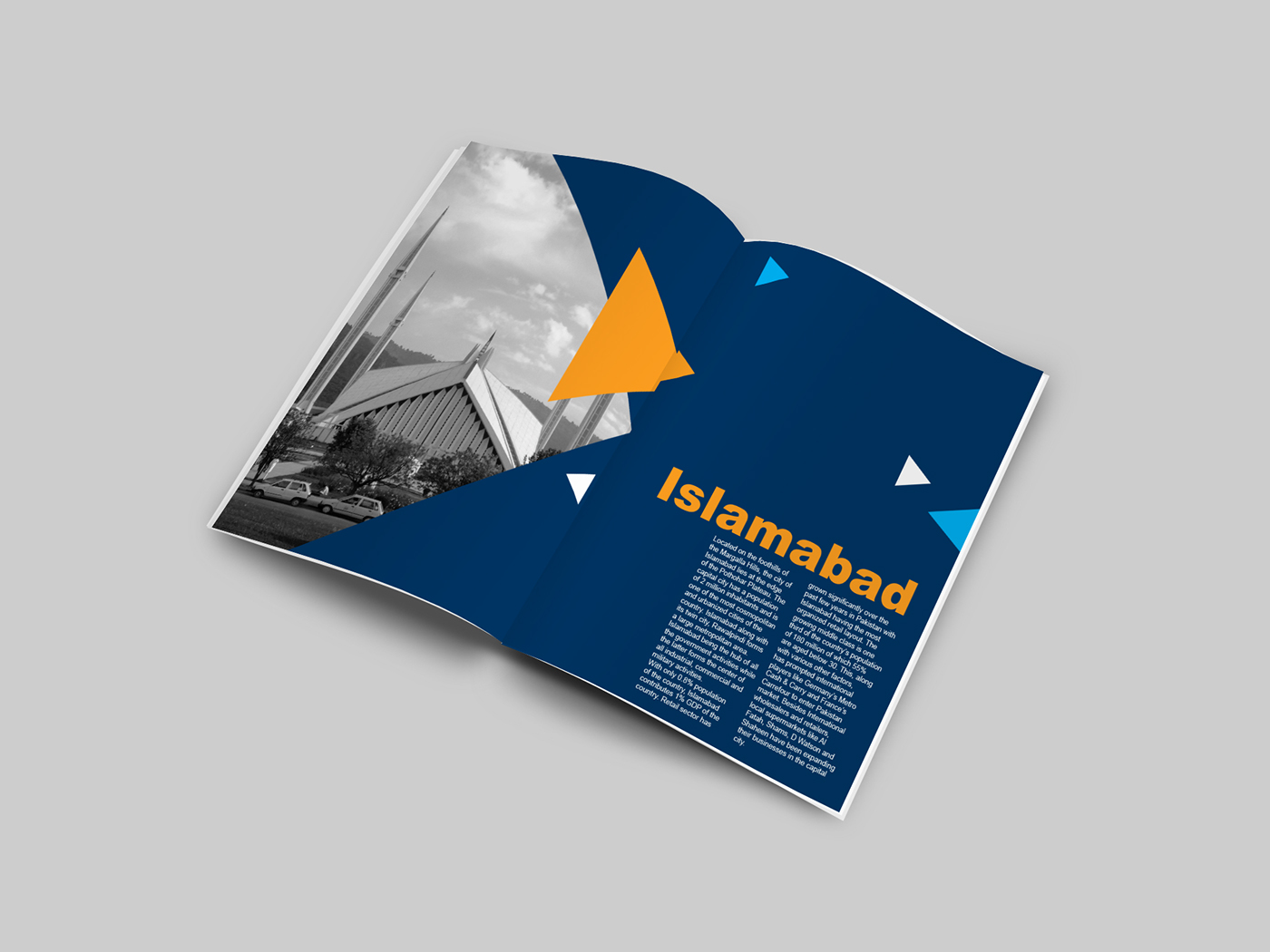booklet design concept Layout graphic design  print design 