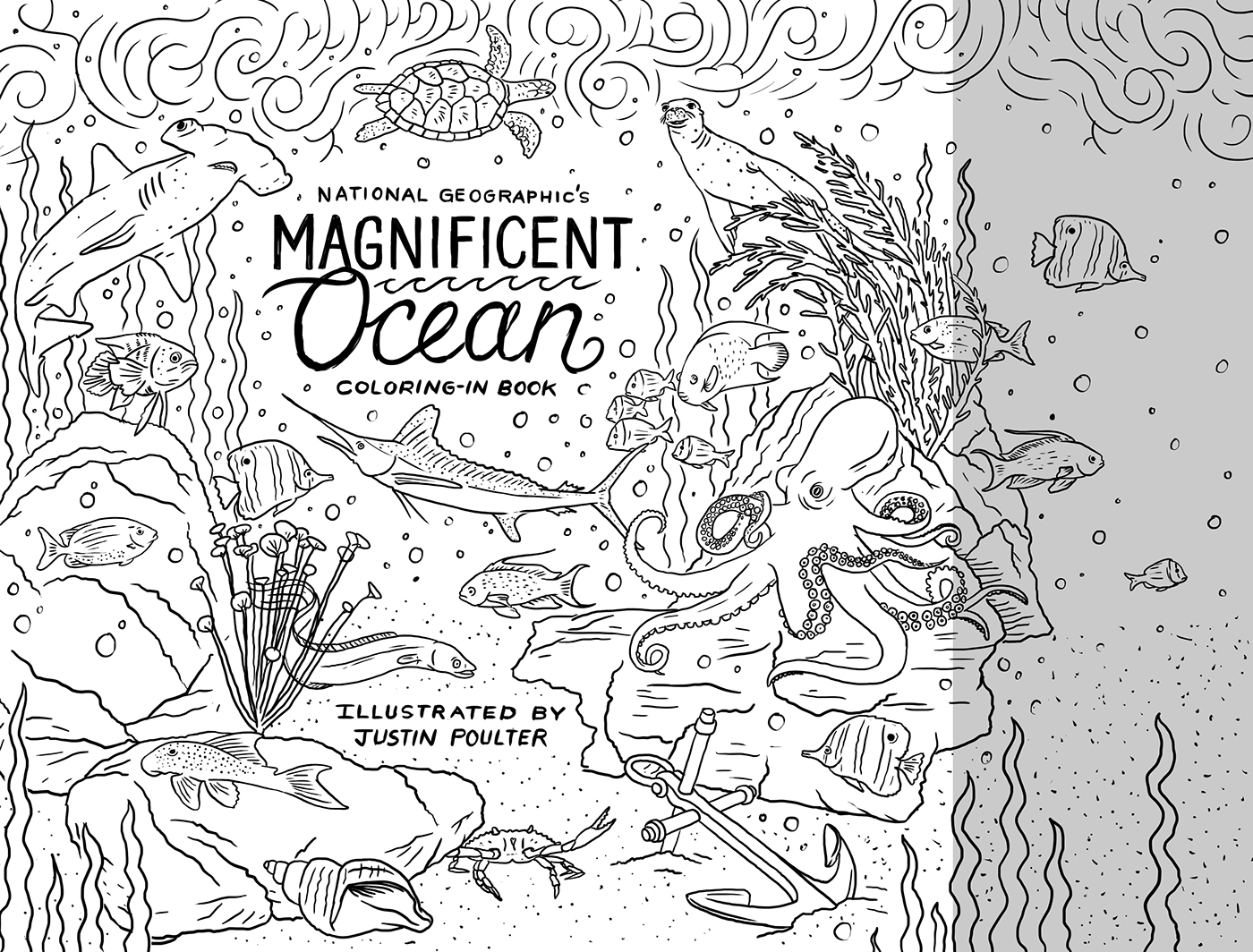 coloring book national geographic animals magnificent ocean justin poulter adult coloring book Nature