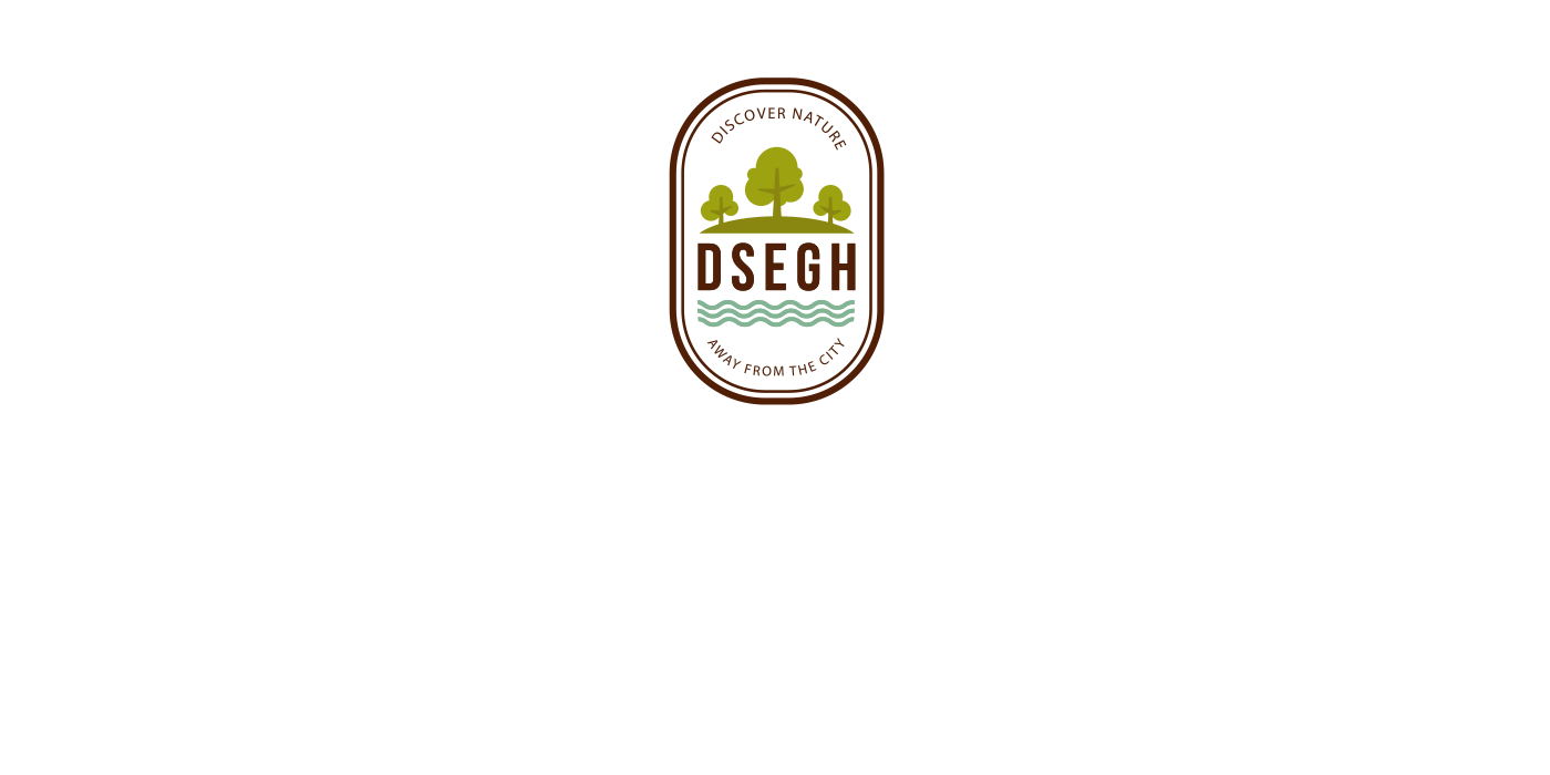 branding  logo badge logo animation Dsegh graphic design  brand strategy Logo illustration