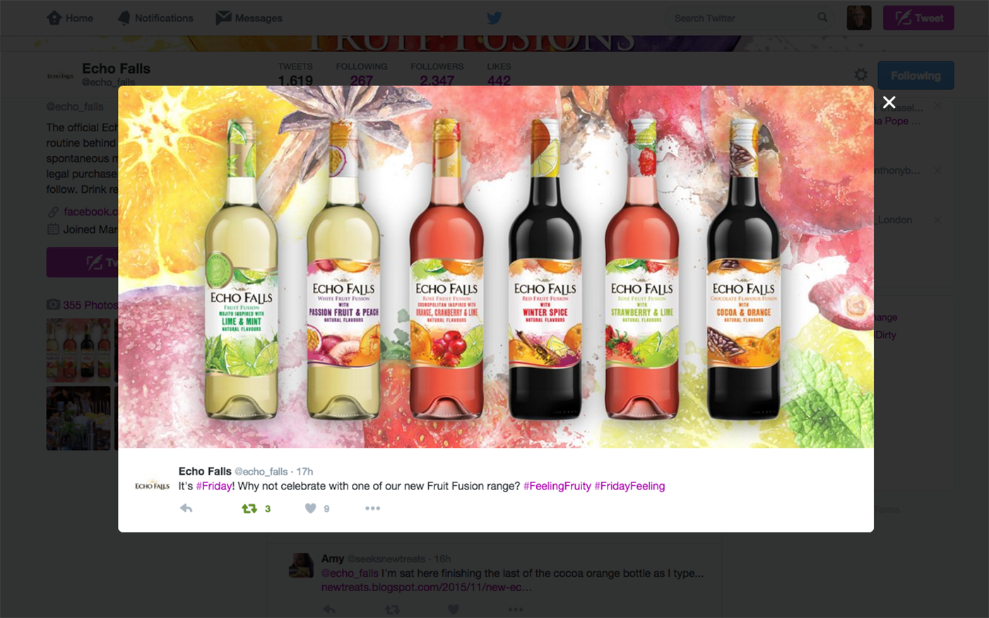 Echo Falls wine echo falls social ads social advertising watercolour photoshop