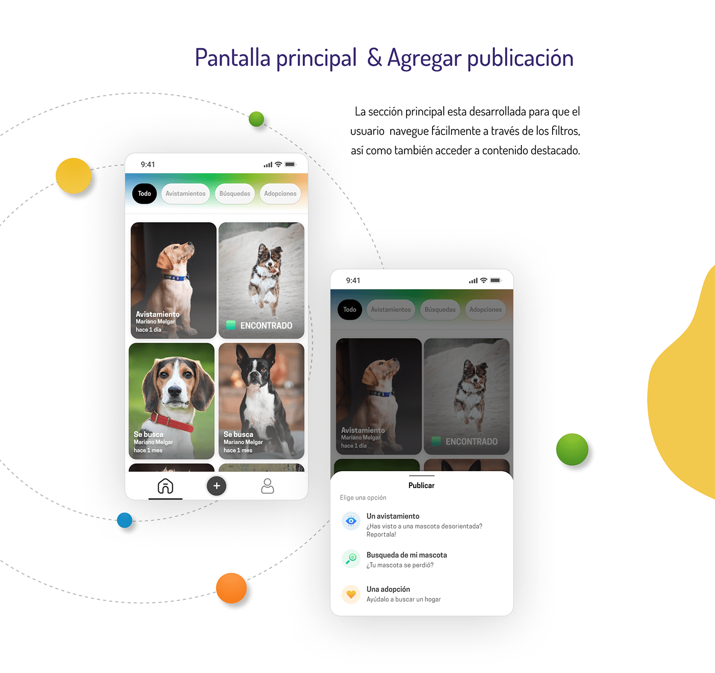 adopción adopt pet lost pet Perros perdidos Pet App app design ux/ui dog Pet puppy