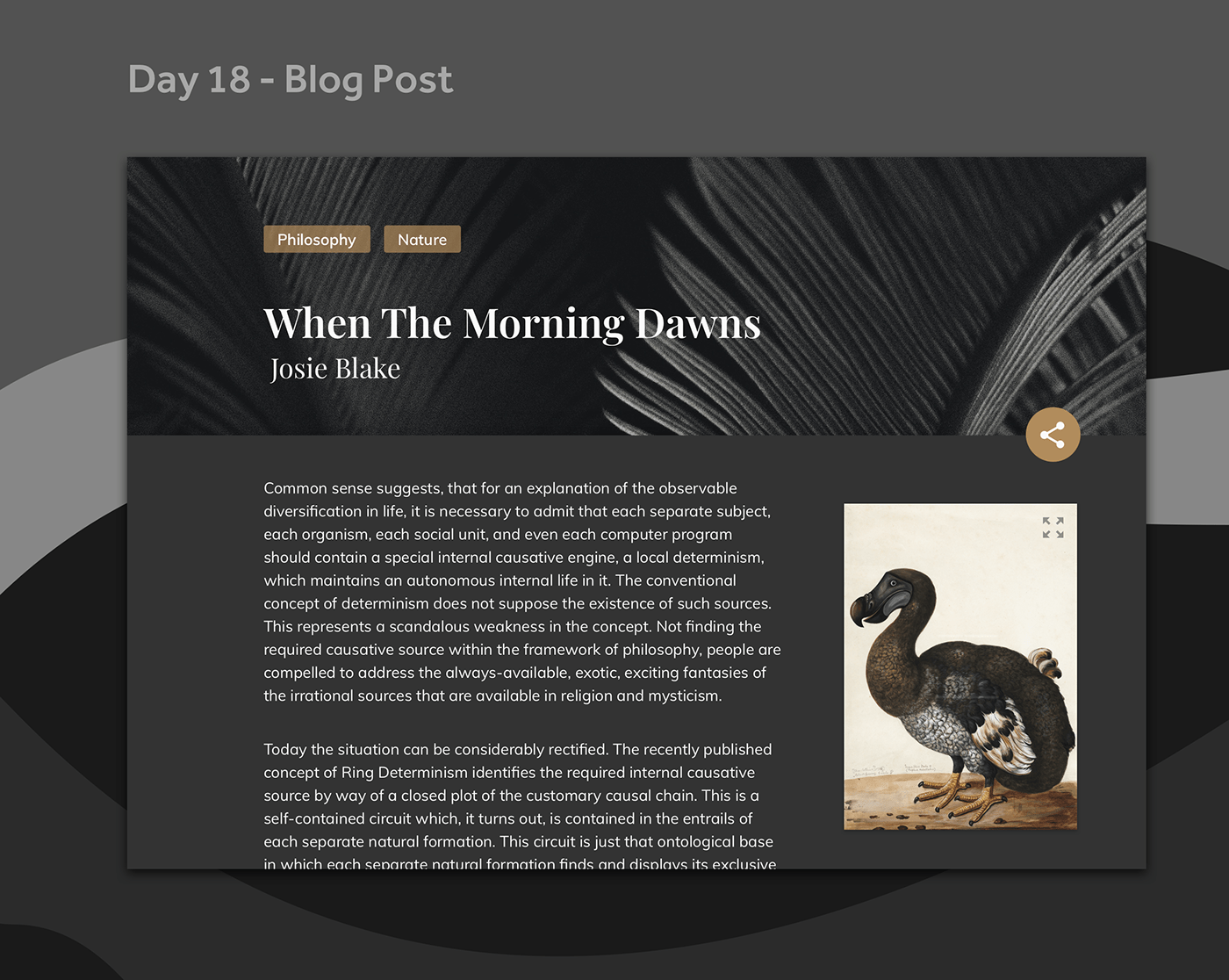 A blog concept