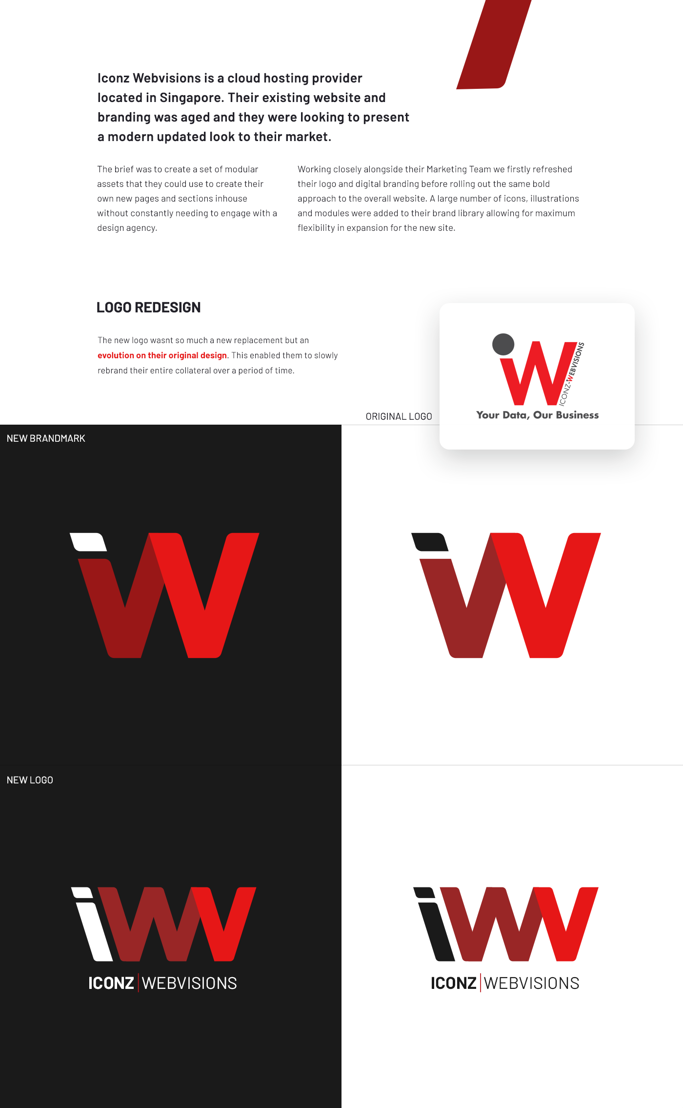 branding  design icons ILLUSTRATION  Logo Design Web Design  Website