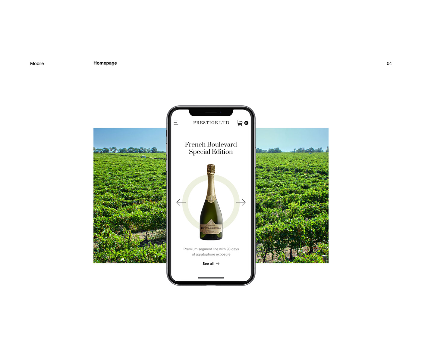 alcohol Champagne clean Ecommerce minimalistic Online shop online store Web Design  Website wine