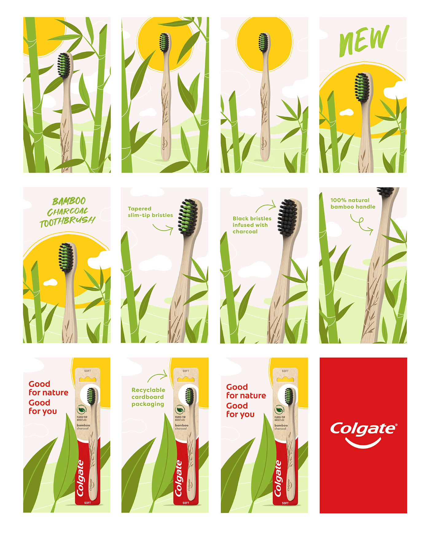 animation  brand colgate graphic design  ILLUSTRATION  toothbrush vector