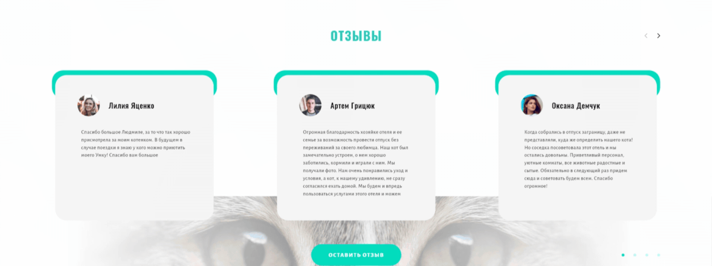Web Design  UI ux Interface company hotel Cat MadeWithAdobeXd interaction