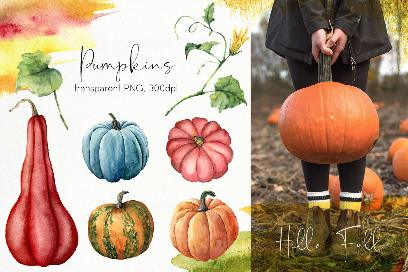 bundle calabasas fruits Halloween party Patterns pumpkins resdy to use textures watercolor