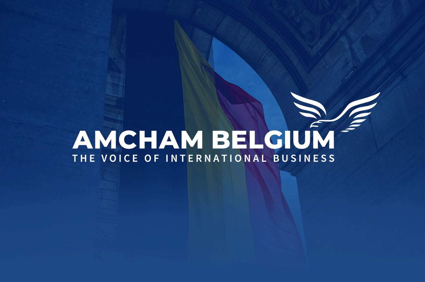 AmCham Belgium Business Brand Identity business communication chamber of commerce European Union Political Brand identity marketing campaign