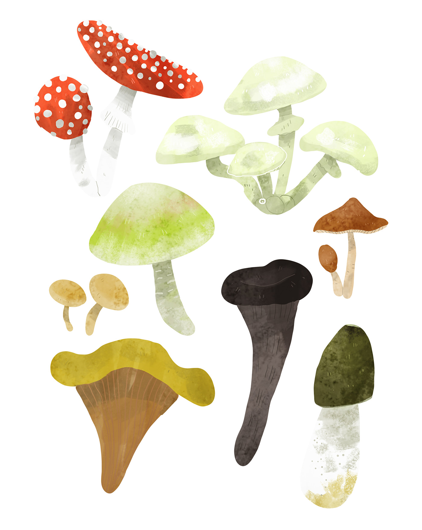 botanical Editorial Illustration forest Fungi hygge Magazine illustration mindfulness Mushrooms Nature