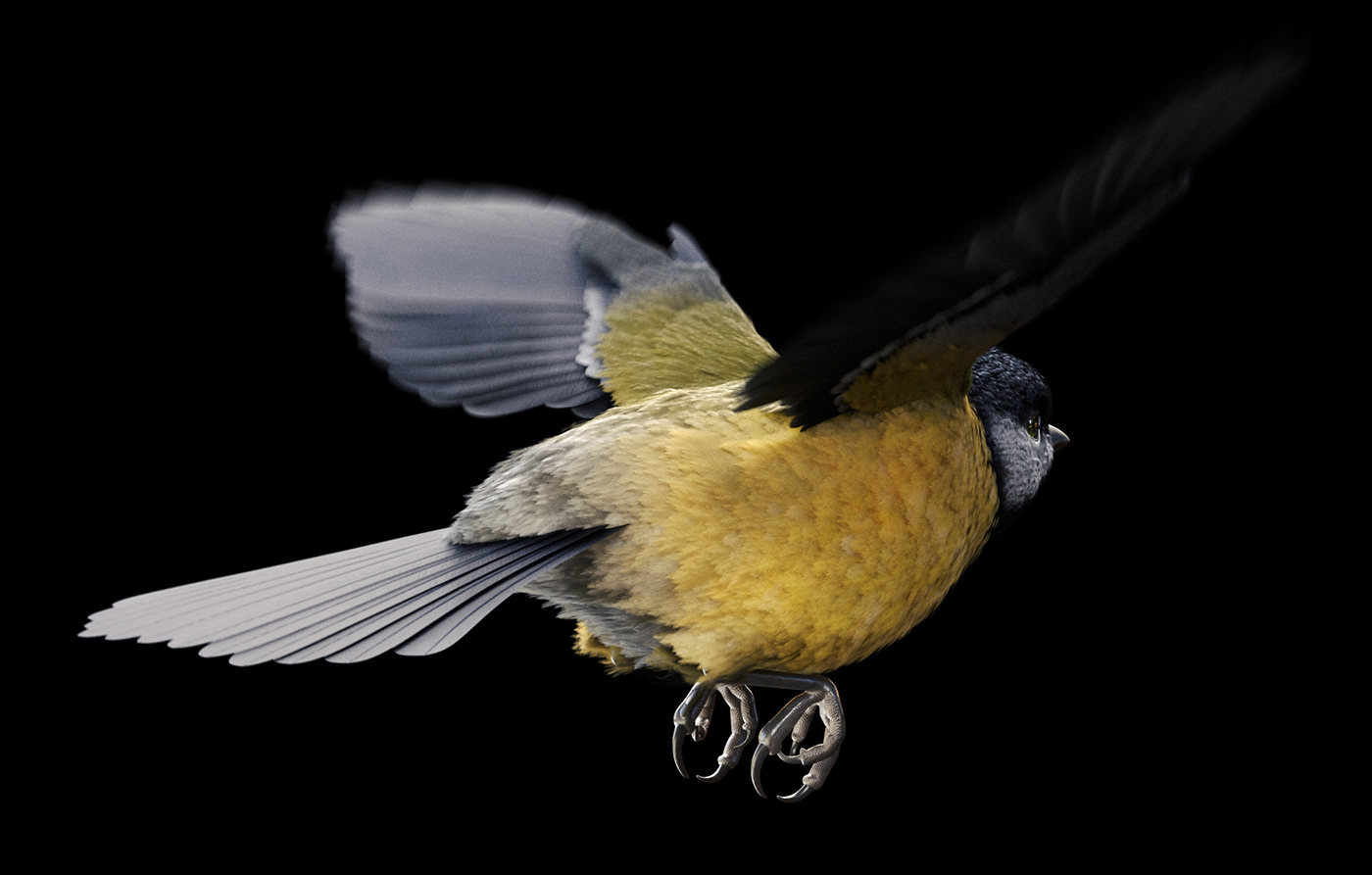 3D animal bird CGI Character feathers Flying Fur grooming ornatrix