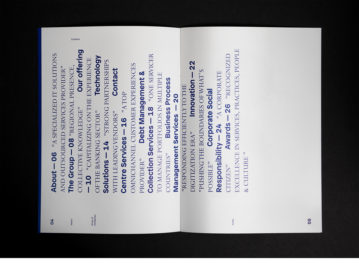 brochure design company profile typography   editorial design  print design  book Layout