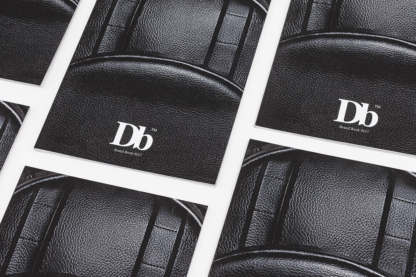 brandbook magazine lifestyle bags logo Photography  typography   print gif