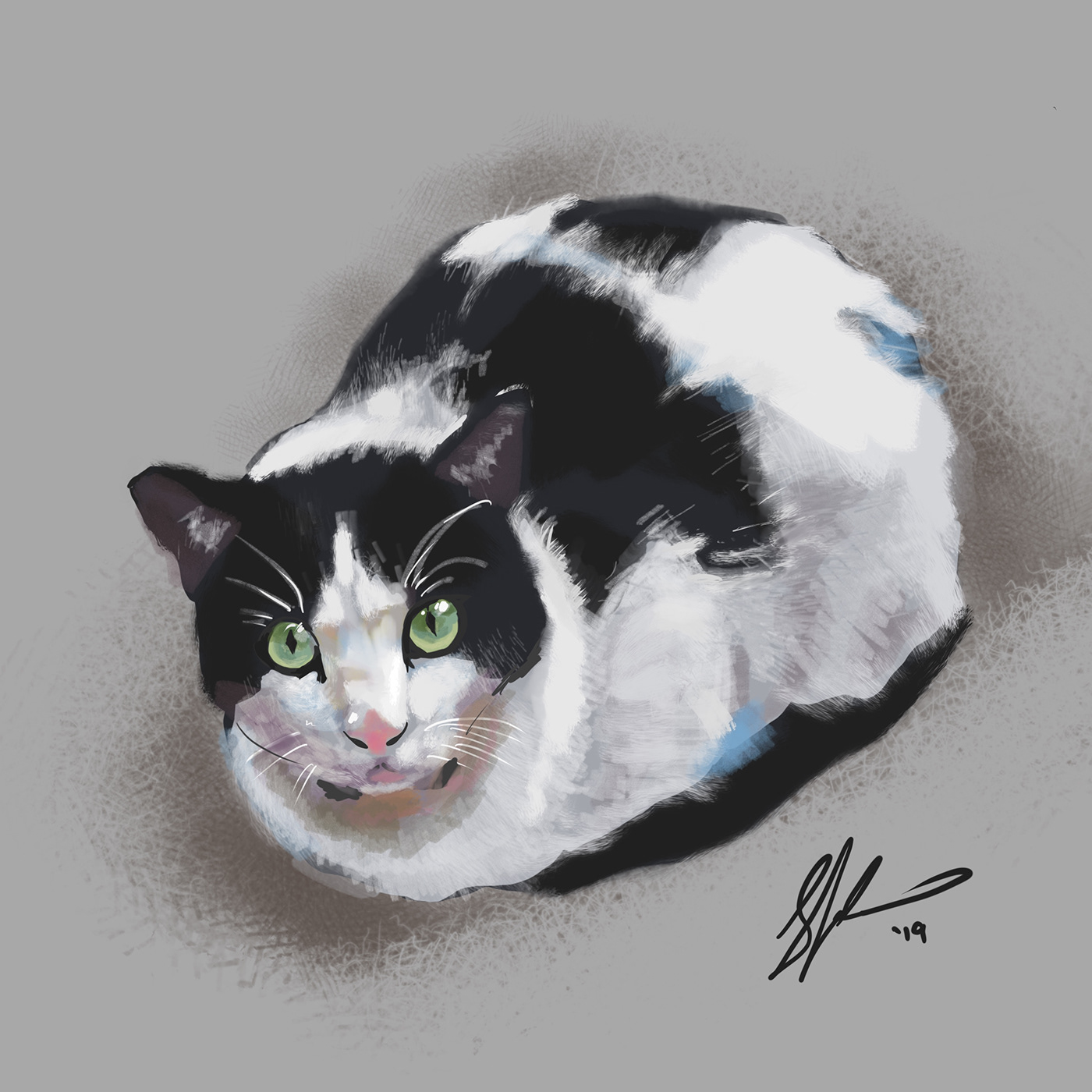 Cat painting   Procreate digital painting catloaf ILLUSTRATION 