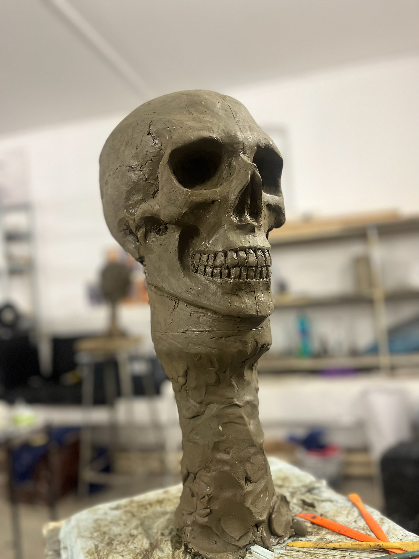 sculpture study Cranium