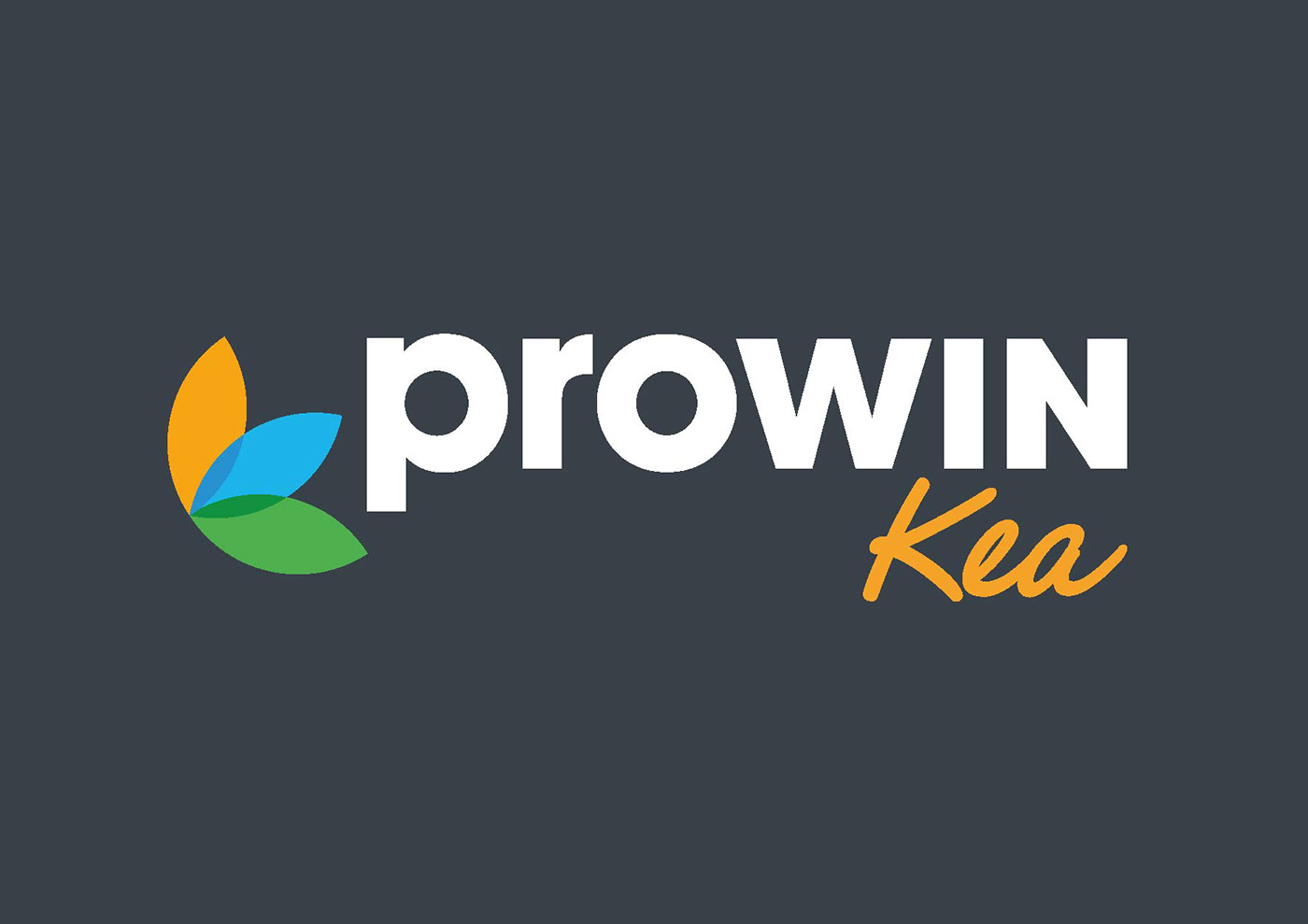 redesign logo Website Responsive pro win Kea International sales