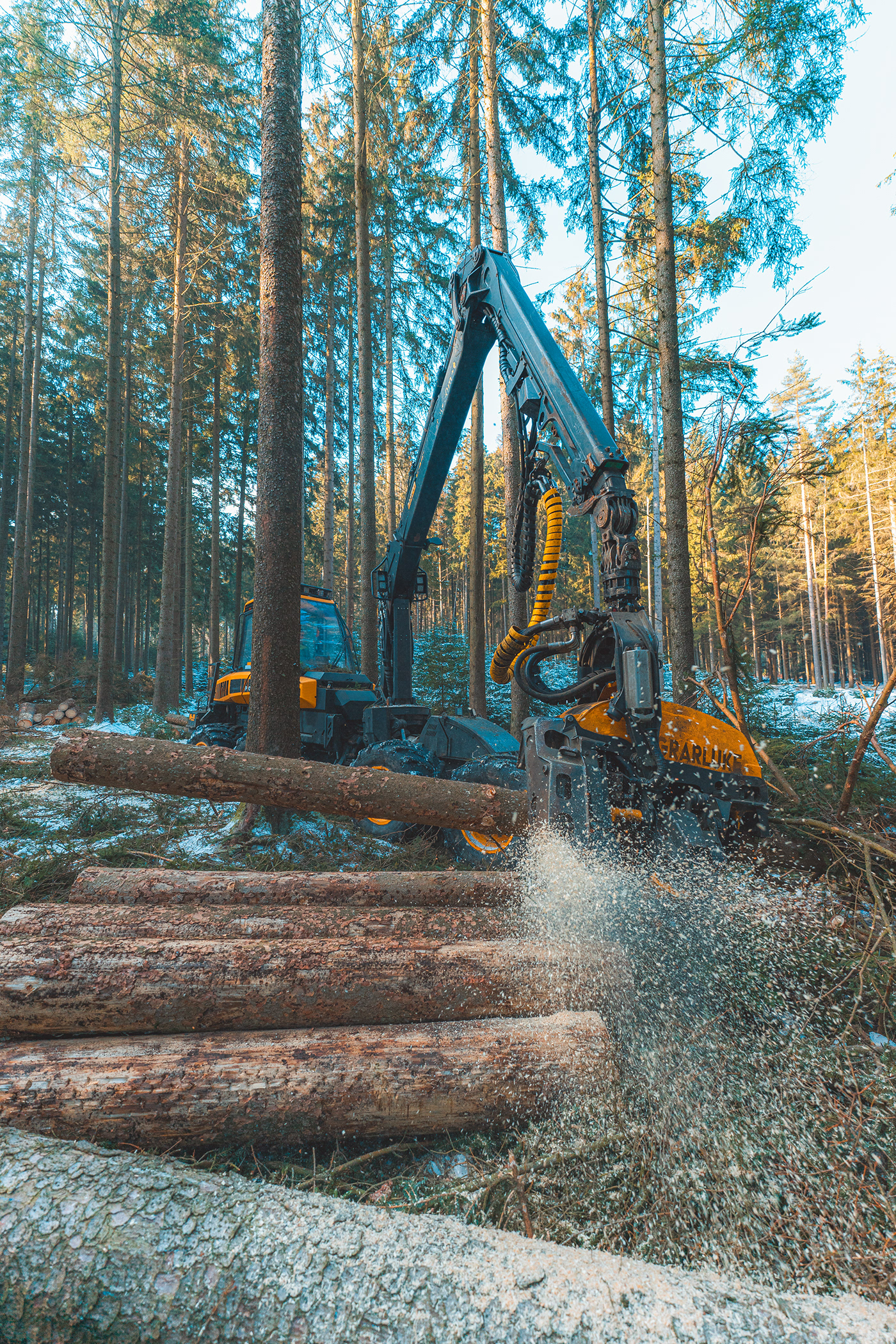 forest forestry harvester machinery Ponsse