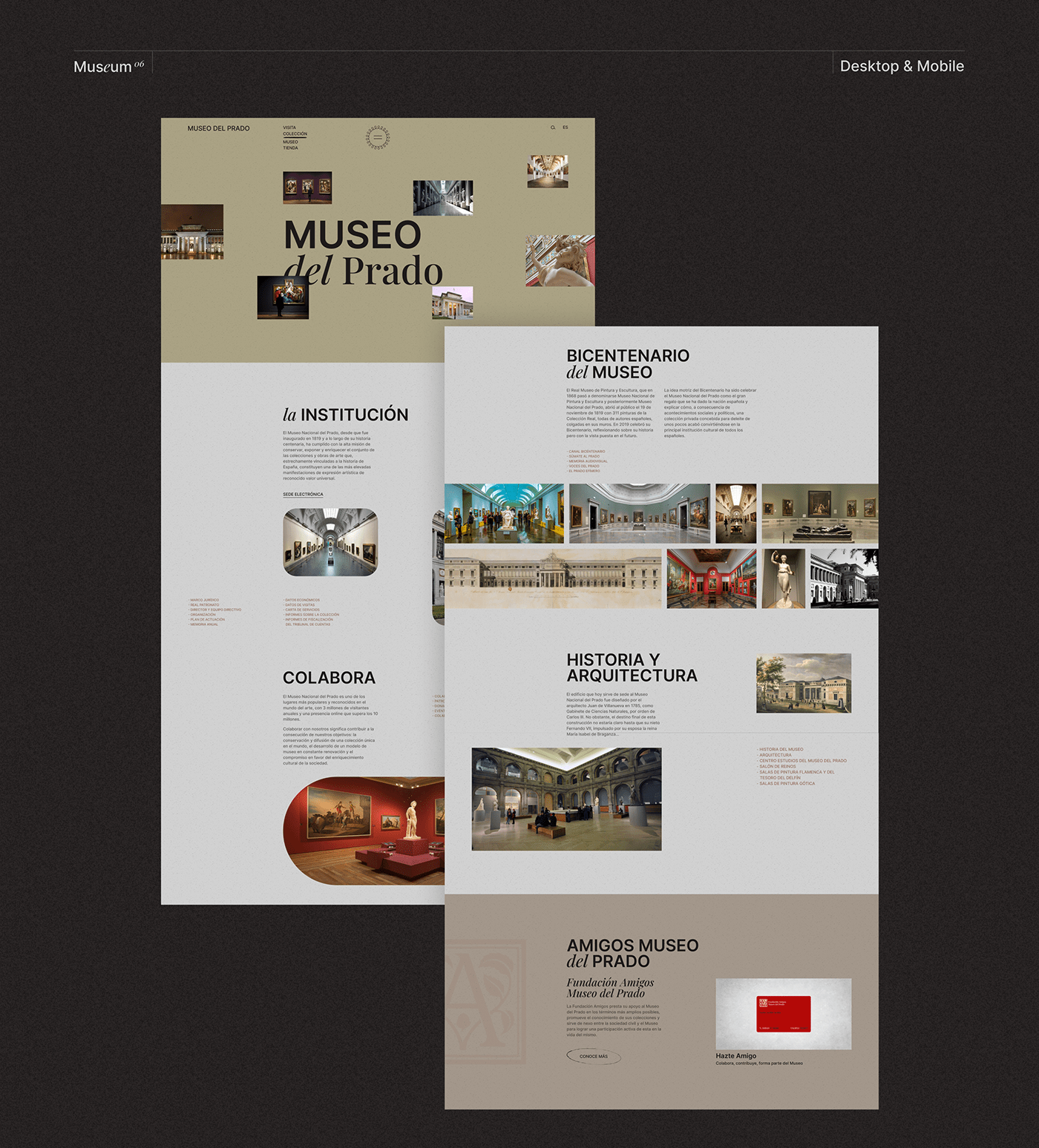 museum UI/UX Website user interface user experience Web Design  corporate UI ux