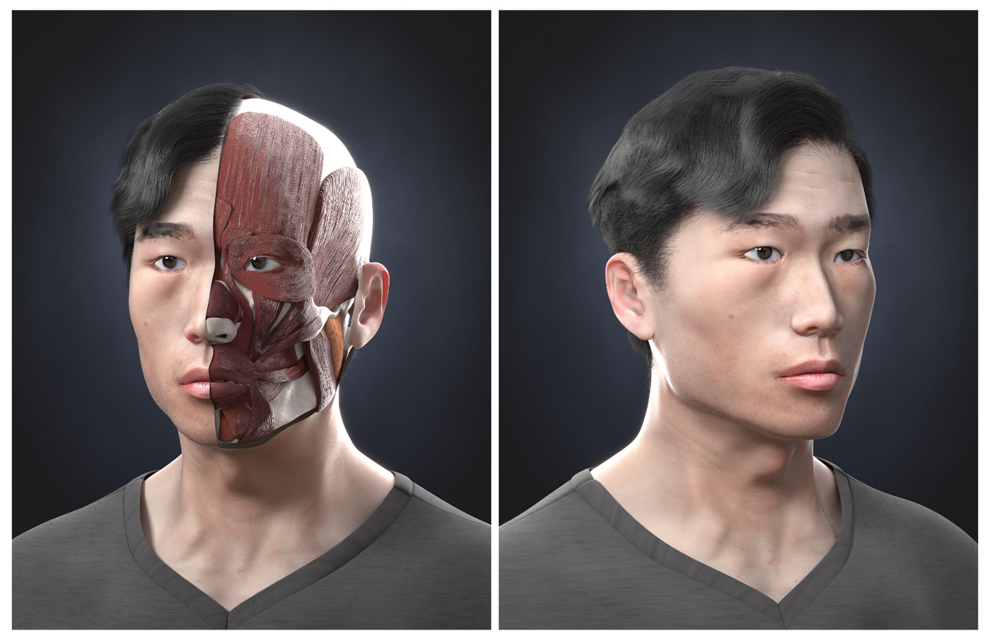 Ecorche anatomy self-portrait face bust portrait