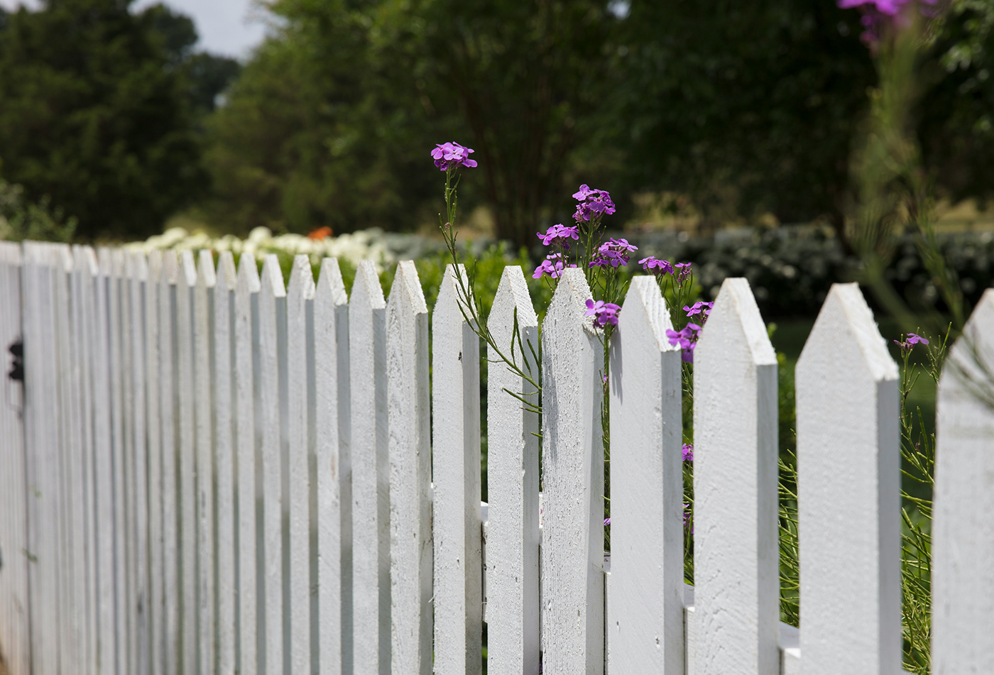 fences fence installation Fence installers Melbourne Australia fenceinstallermelbourne