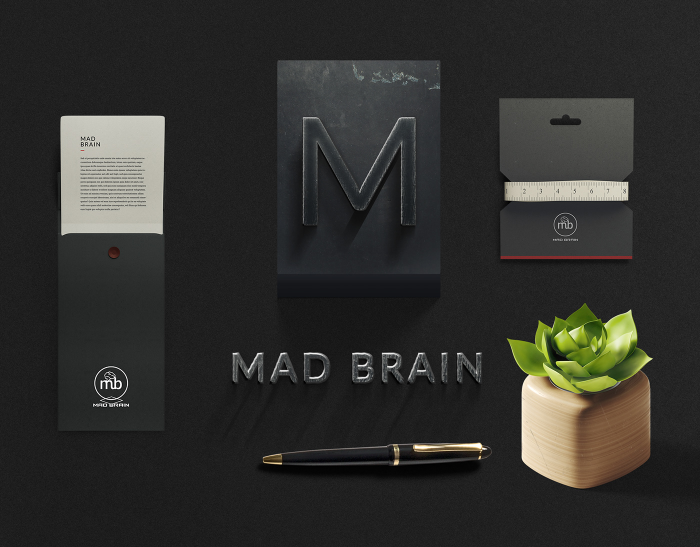 madbrains Logo Design creative work