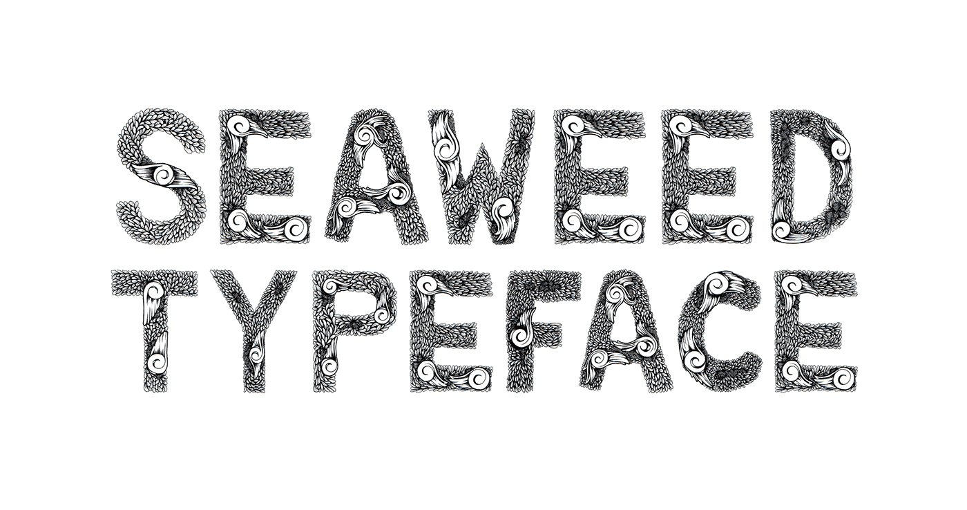 doodle Typeface typograph seaweed