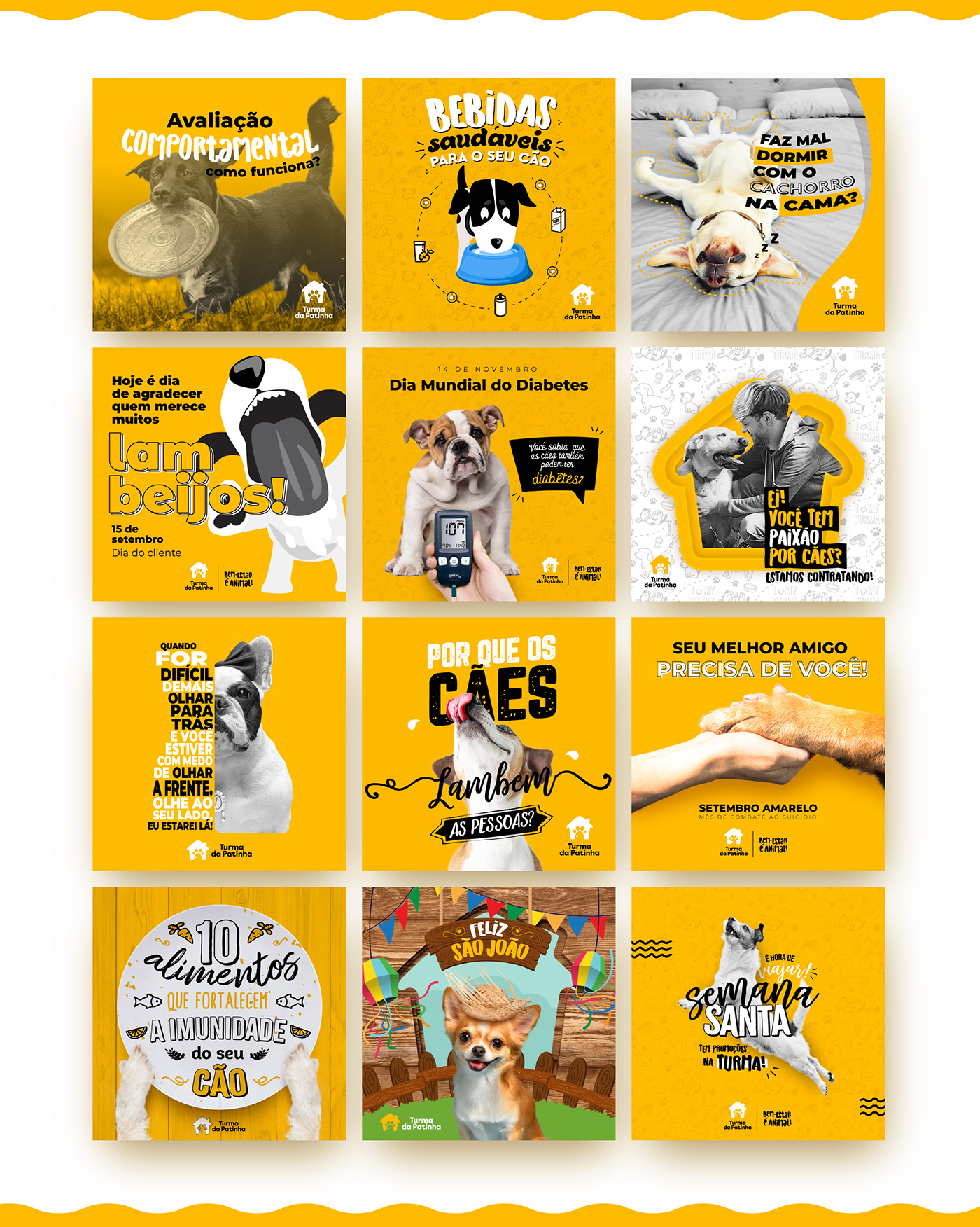 cachorro cães daycare design gráfico dog instagram petshop Redes Sociais Socialmedia Pet