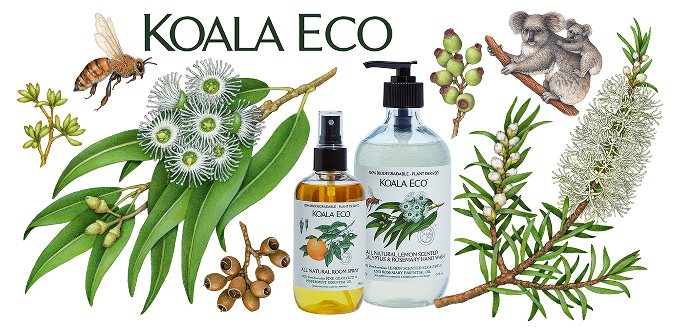 Traditional watercolor botanical illustrations used on packaging for Koala Eco cleaning products.