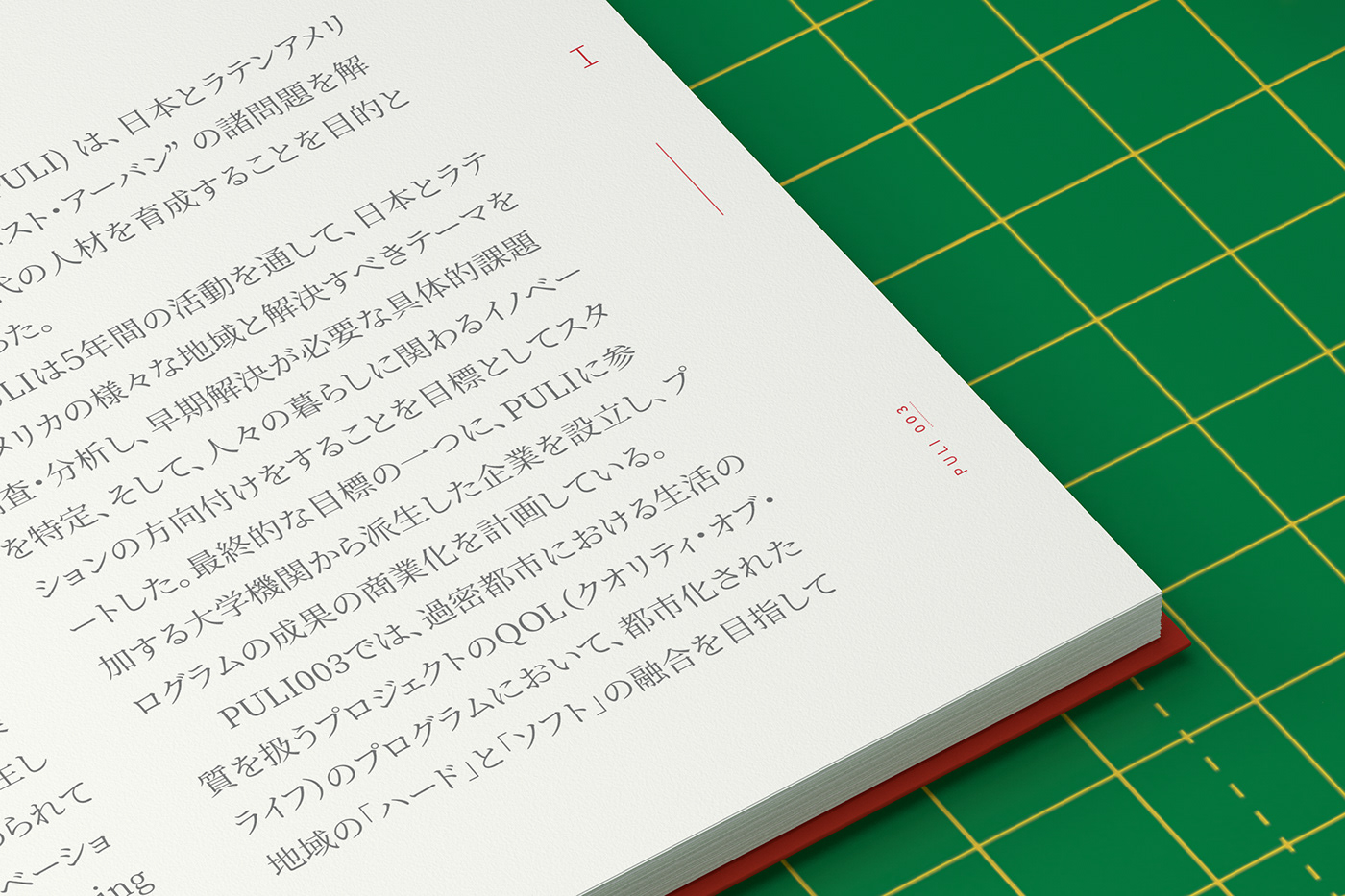 book design editorial design  mexico japan architecture