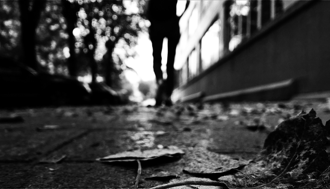 bw blackandwhite monochrome Street autumn figures walk leaf