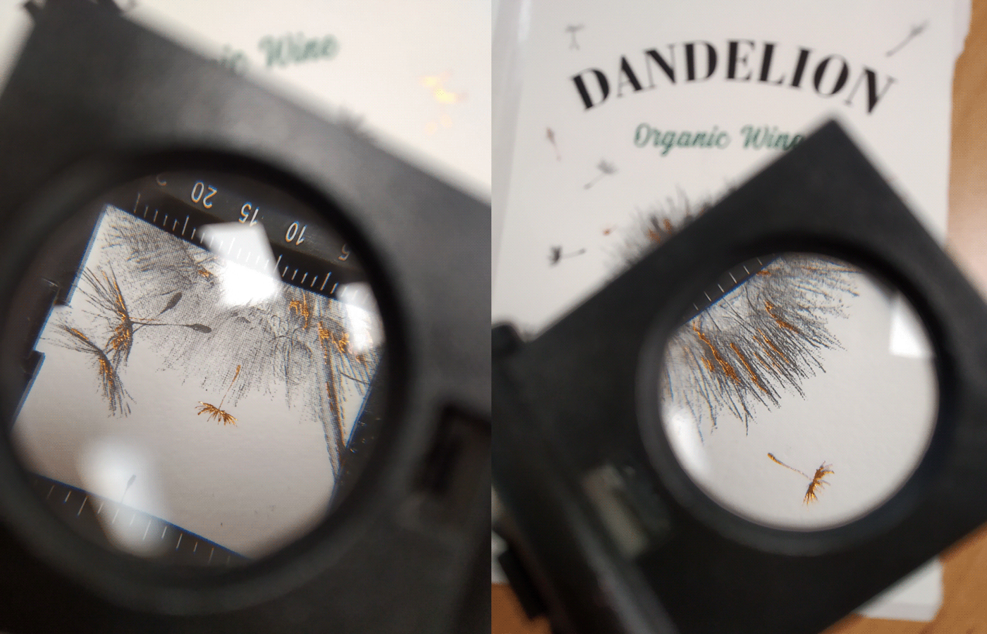 Dandelion wine packaging design, details.