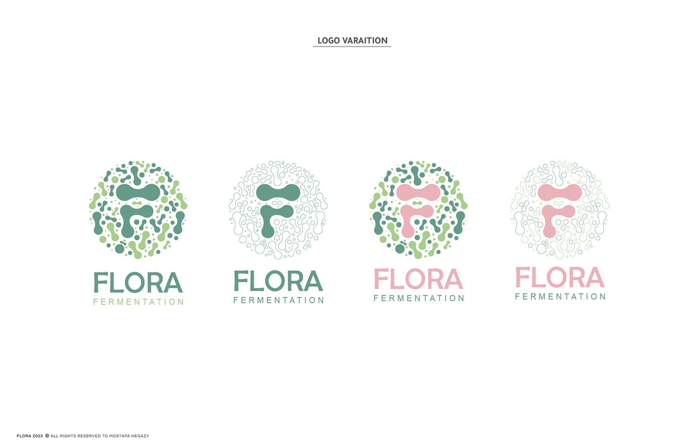 fermentation digestive Food  brand identity Packaging Logo Design visual identity green digestive health fermented foods