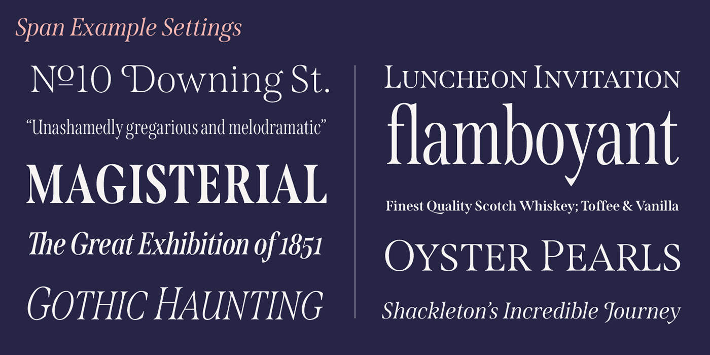 Typeface type design font elegant opentype features branding  luxury engraved serif Fashion 