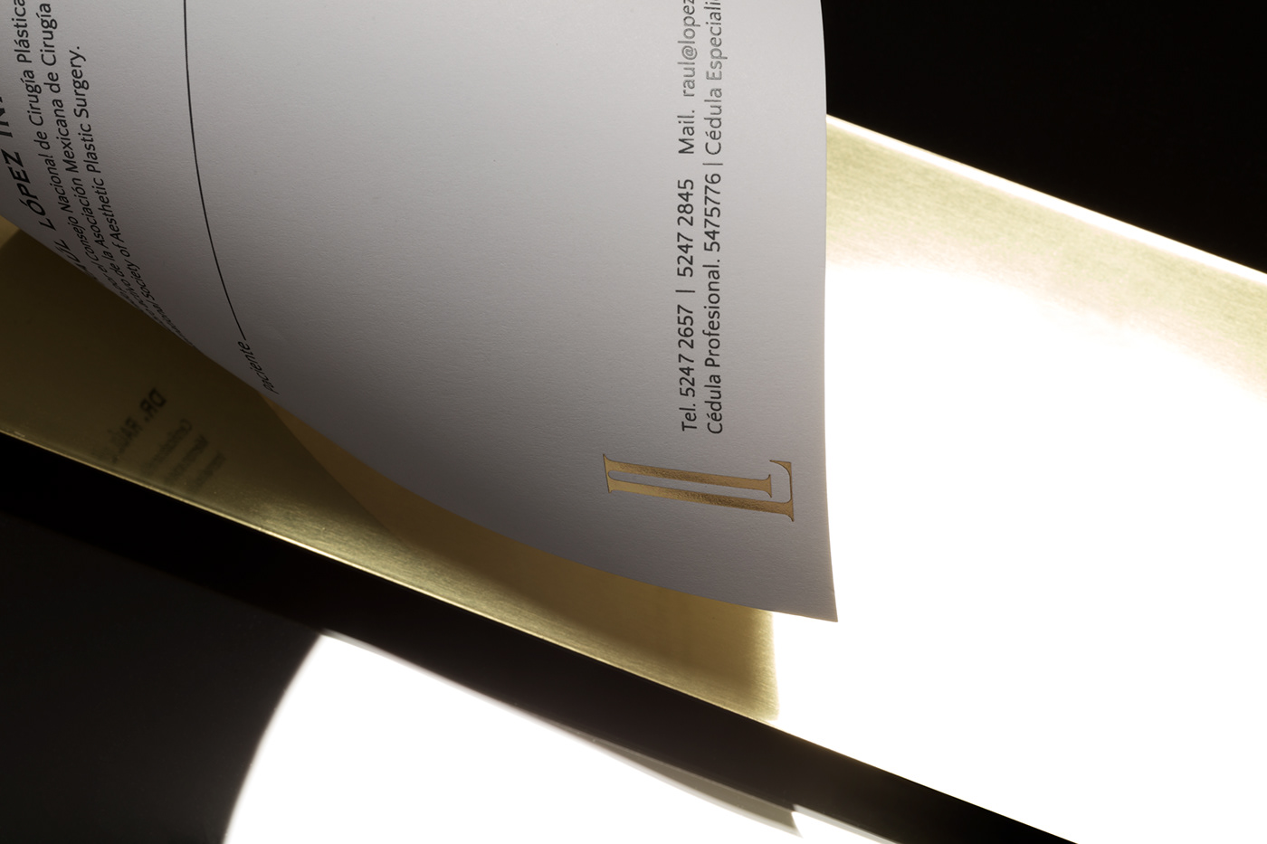 logo monogram branding  gold luxury elegant minimal doctor body foil
