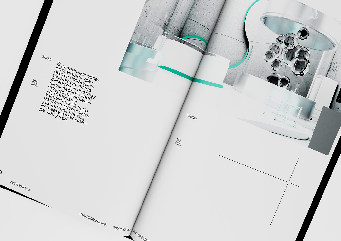 book cover design design font graphic design  type typography  