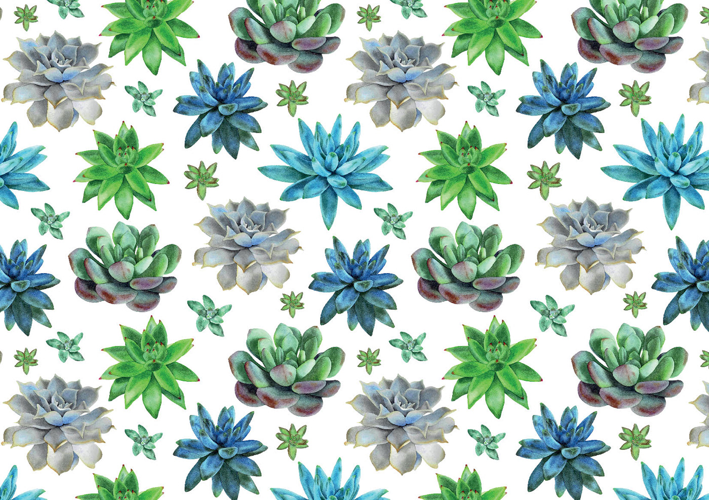 pattern design  Patterns ILLUSTRATION  Fruit plants Succulents Seashells