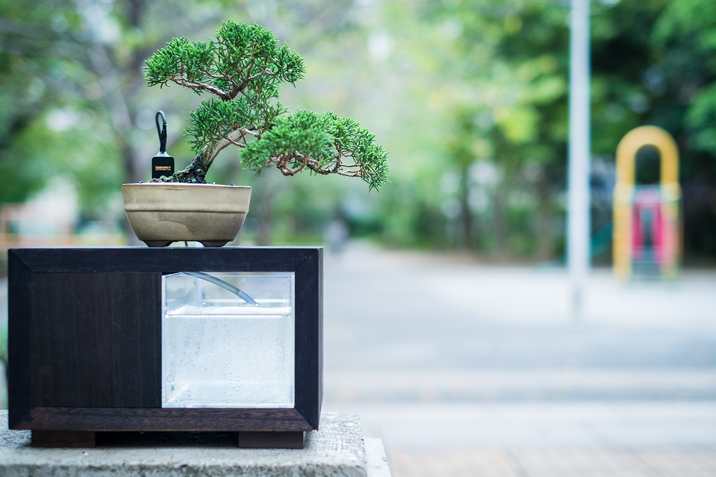 bonsai IoT product Arduino green Technology Tree  japan Wabisabi japanese