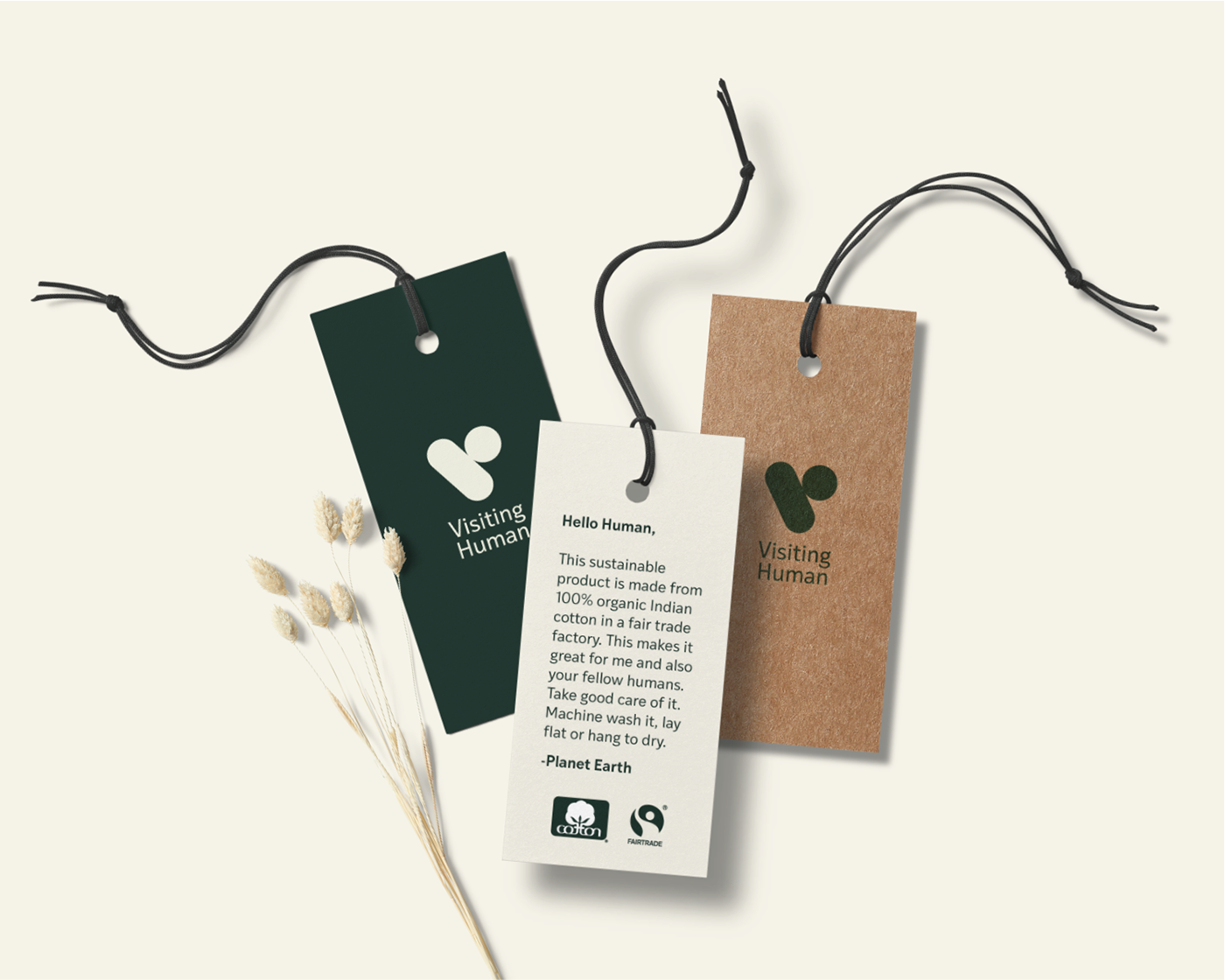 branding  cotton Fashion  ILLUSTRATION  Packaging Sustainable