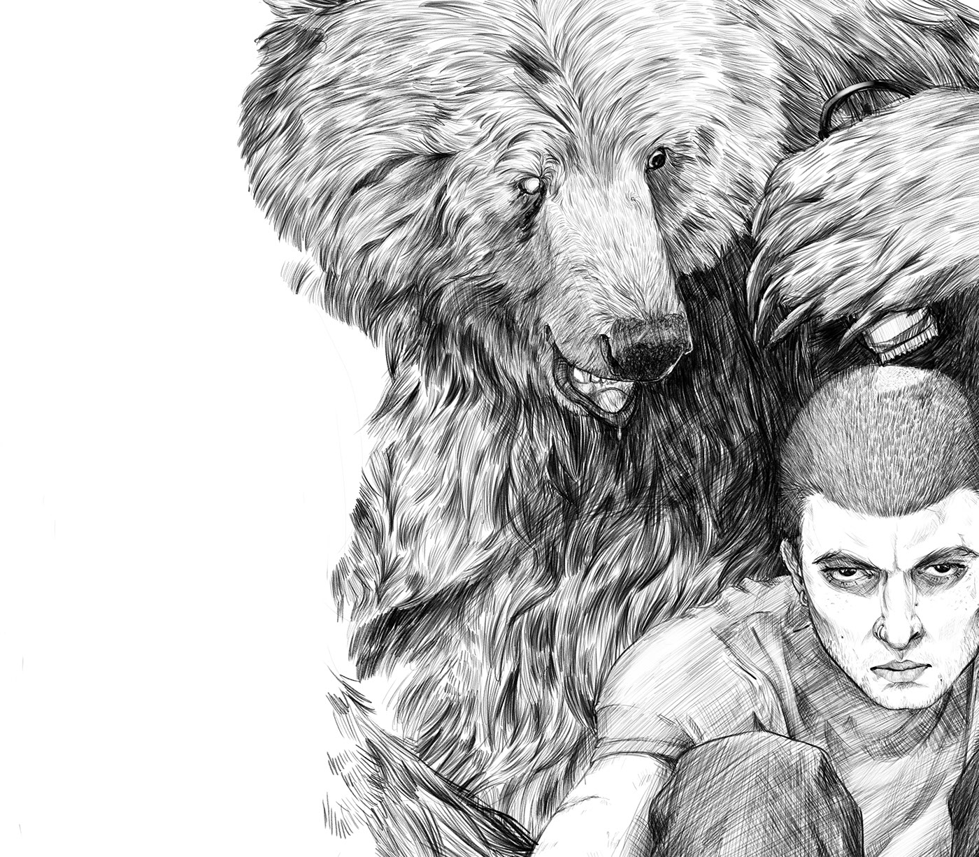 bear ours ILLUSTRATION 