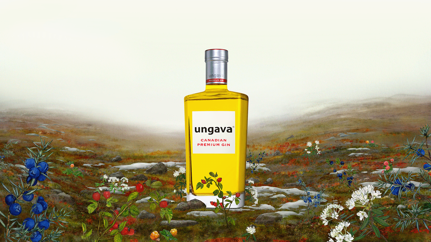 brand branding  gin lcbo SAQ ungava yellow