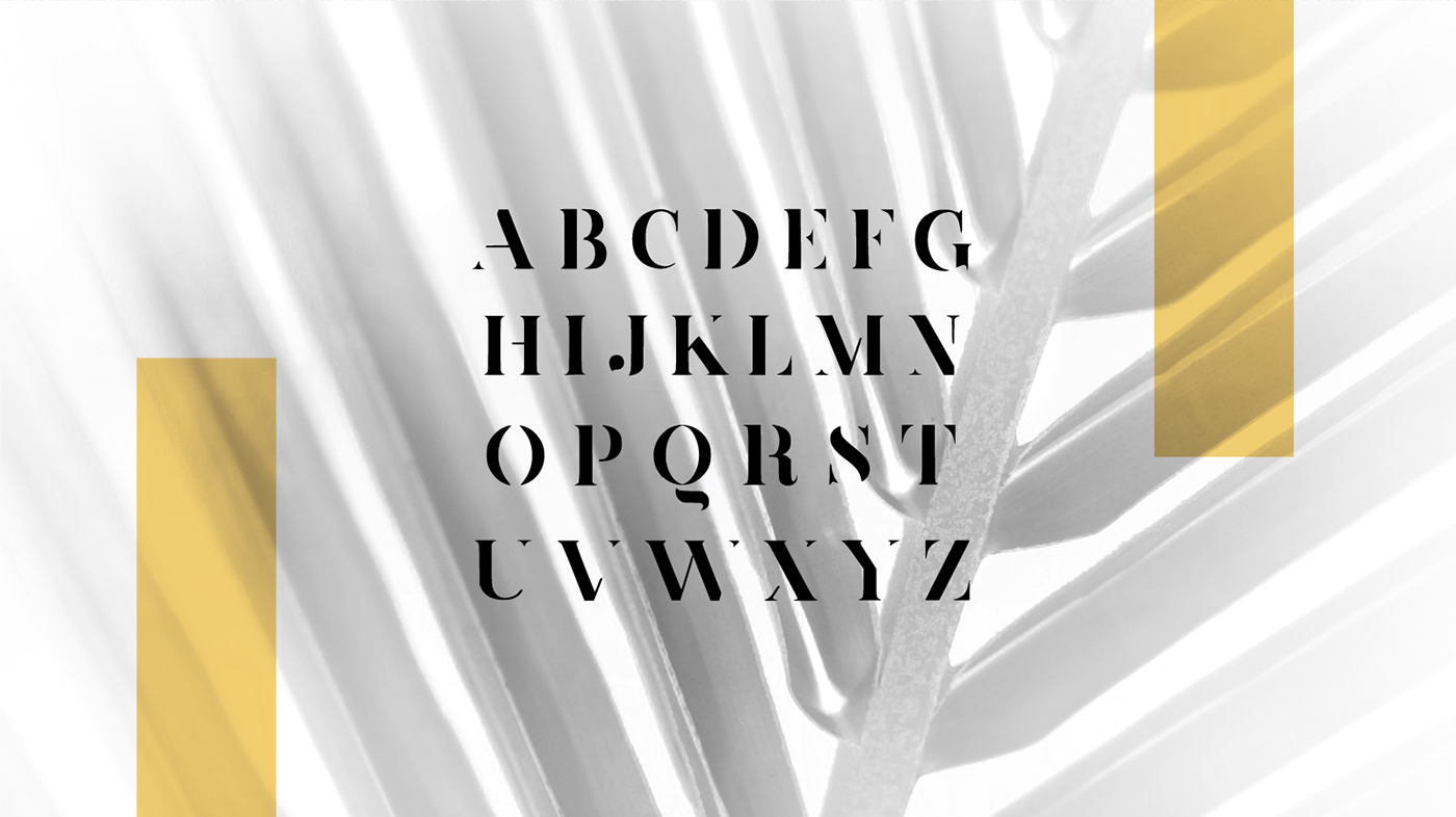 font serif Cropped typeface Nature san serif