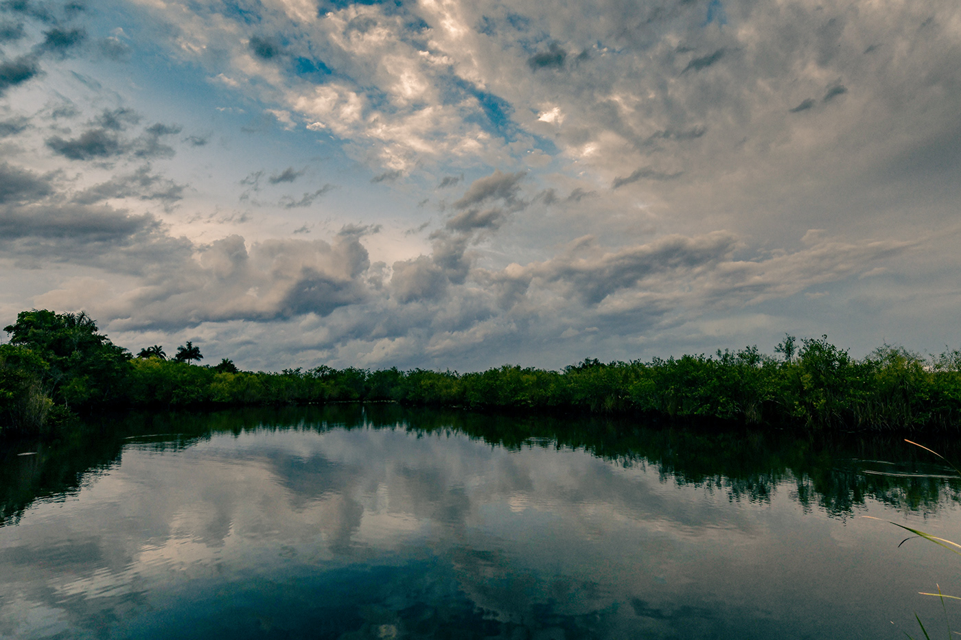 birds Everglades florida Florida nature Landscape National Park Nature Photography  sunset wetland