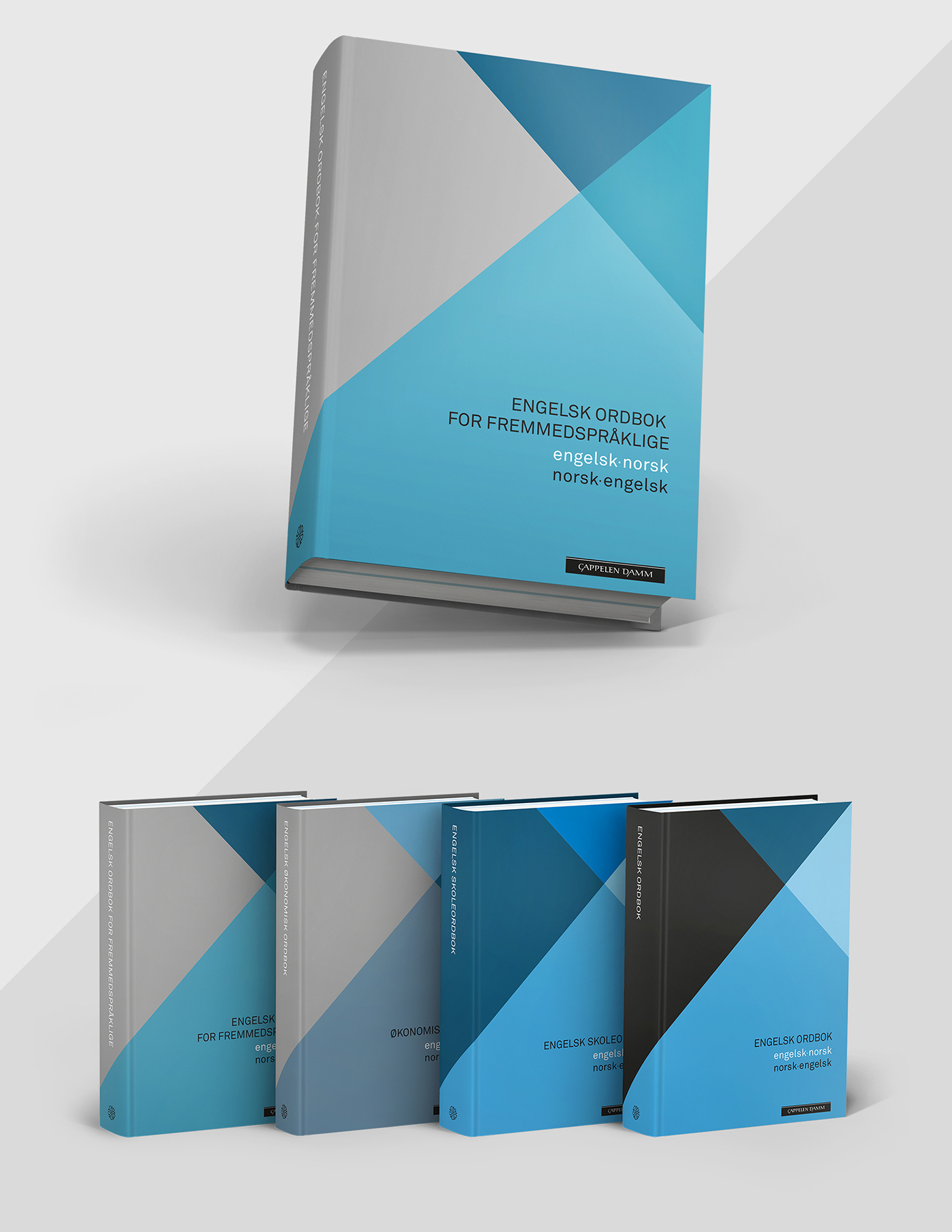 book dictionary design graphic series Mockup grahpic colour color font word map Shades new inspire