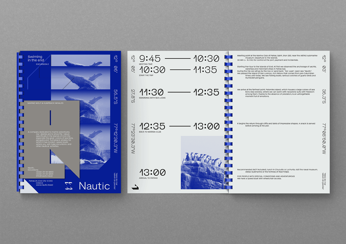 editorial design  graphic sea Travel typographic
