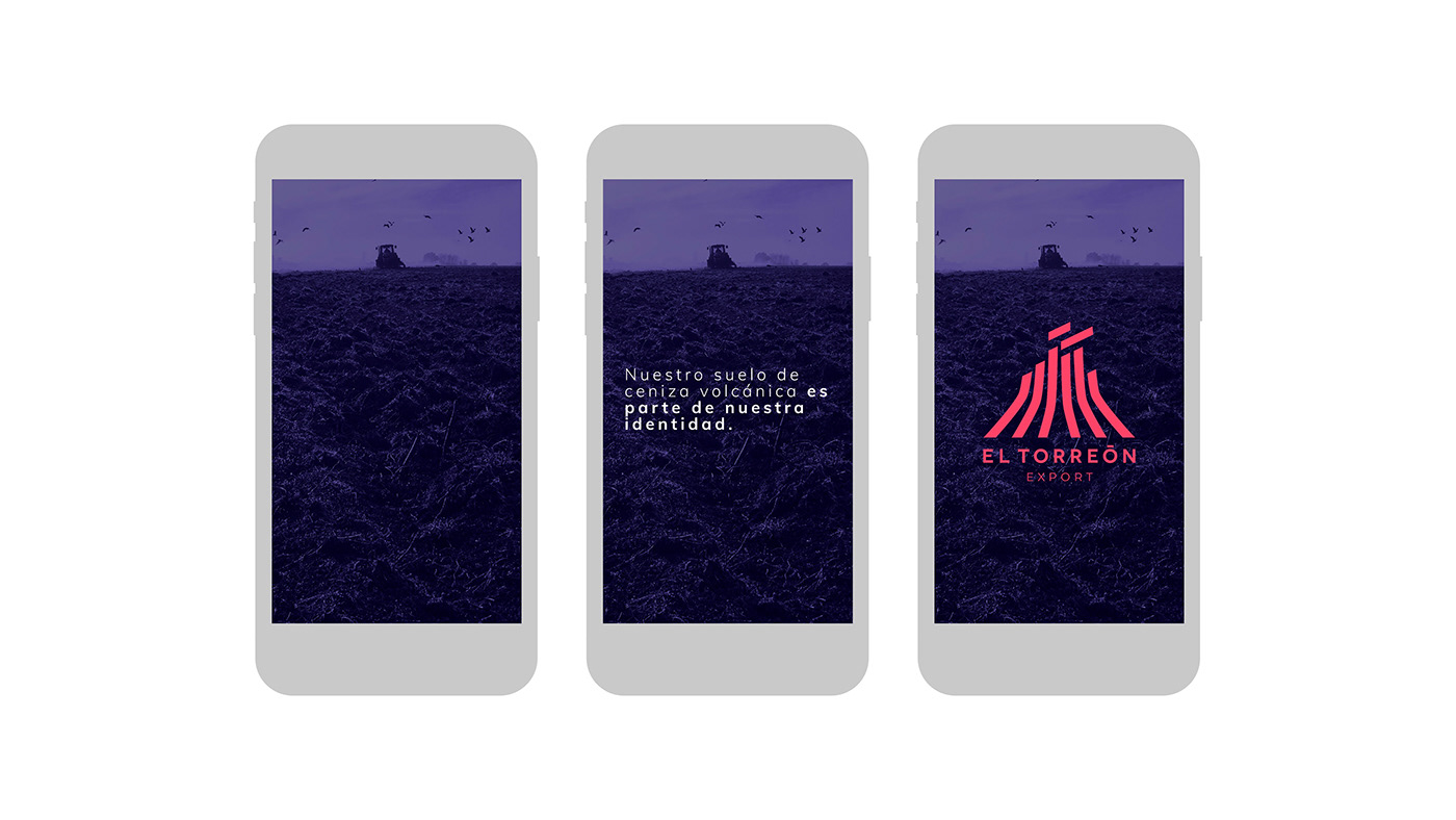 Agro branding chile design export ID torreon volcán volcano minimal