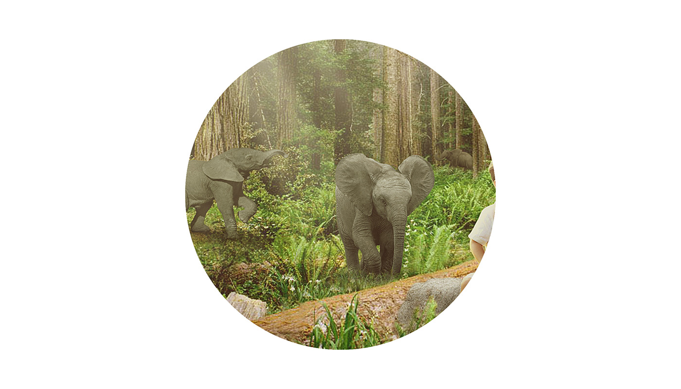 elephant elefante retoque photoshop paisaje retouching  paradise compositing publicidad digital