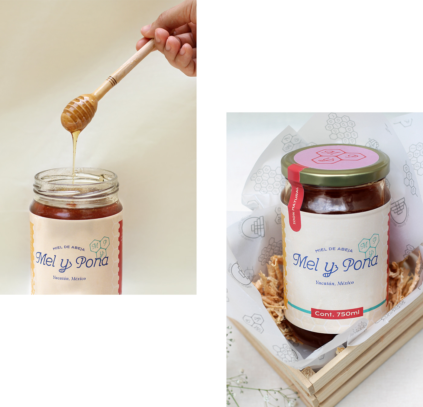 branding  honey miel logo mexico colors identidad Packaging empaque typography  